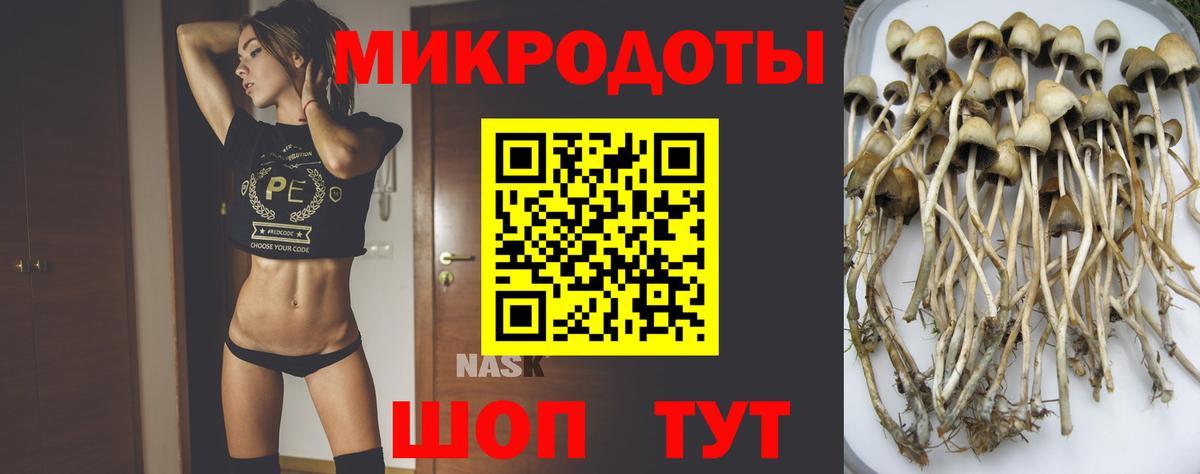 Галлюциногенные грибы Magic Shrooms Карабулак